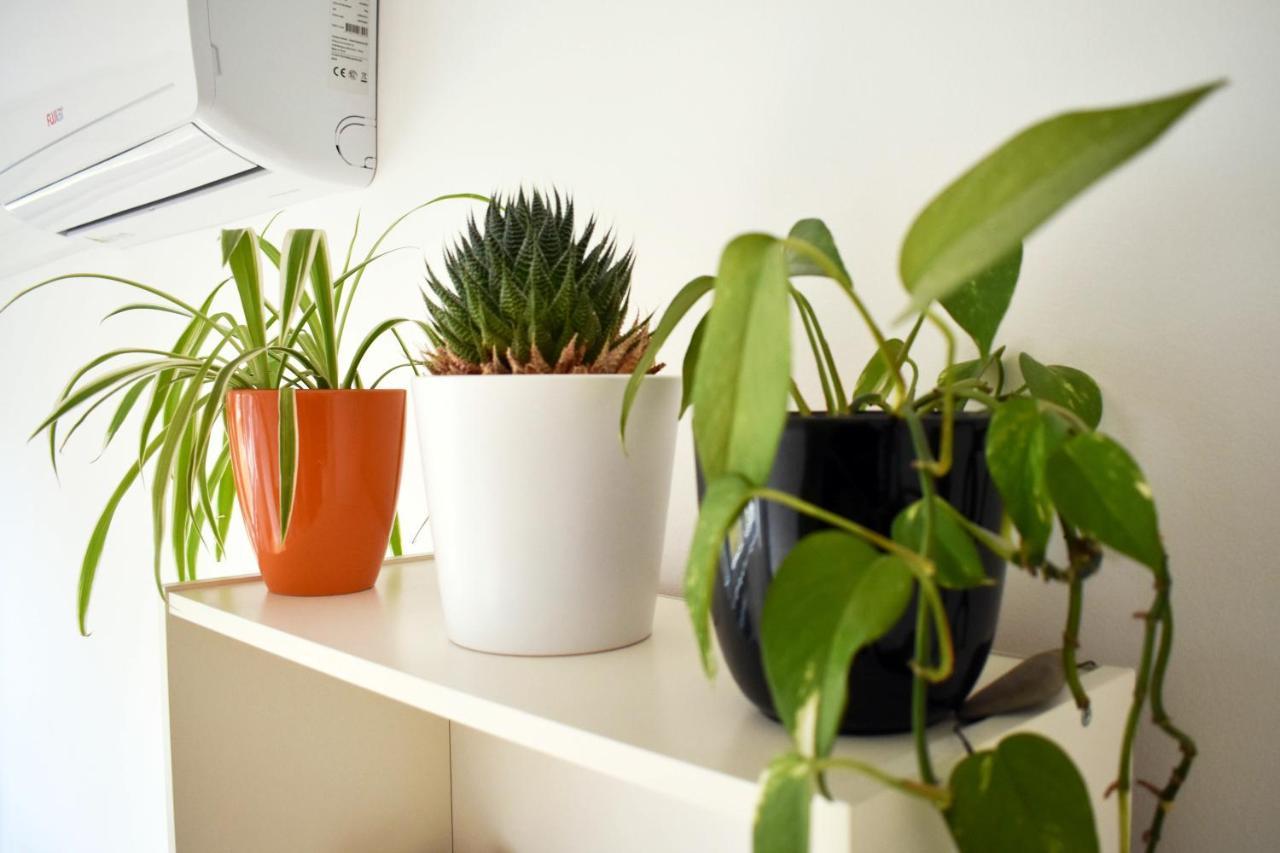 Cozy Donkey - Sporty Apartment, Flexible Check-in, Netflix Apartment Zagreb